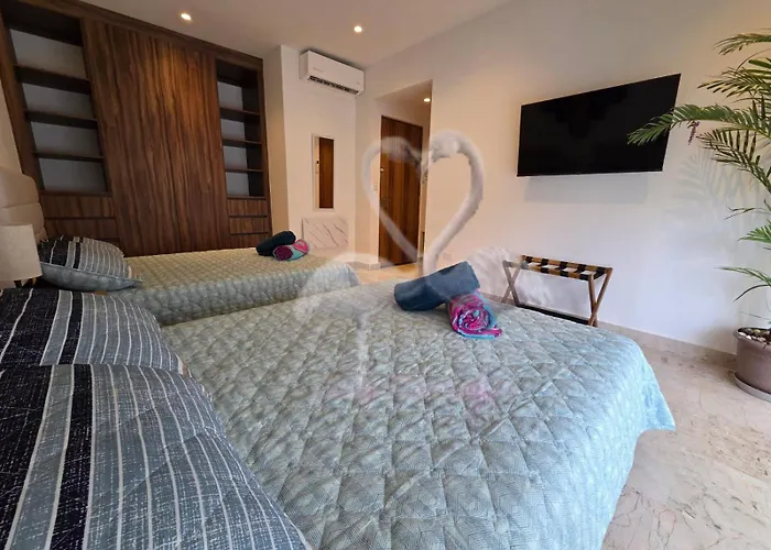 Private Suite, Walk To The Beach, Oceanview Rooftop Pool, Wifi Starlink Aparthotel Puerto Morelos