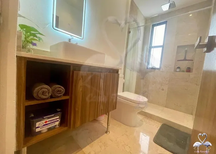 Private Suite, Walk To The Beach, Oceanview Rooftop Pool, Wifi Starlink Aparthotel Puerto Morelos